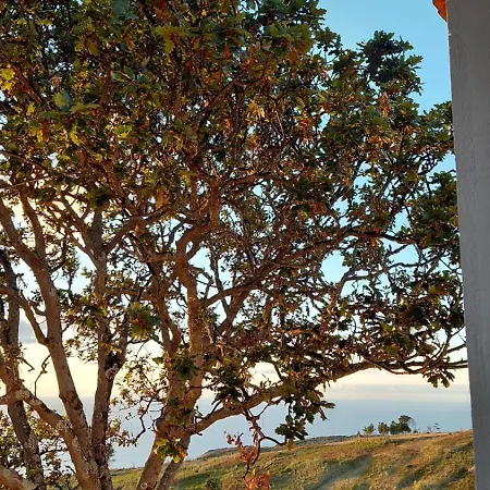 Casas Do Pargo- Casa A - Oak Tree House
